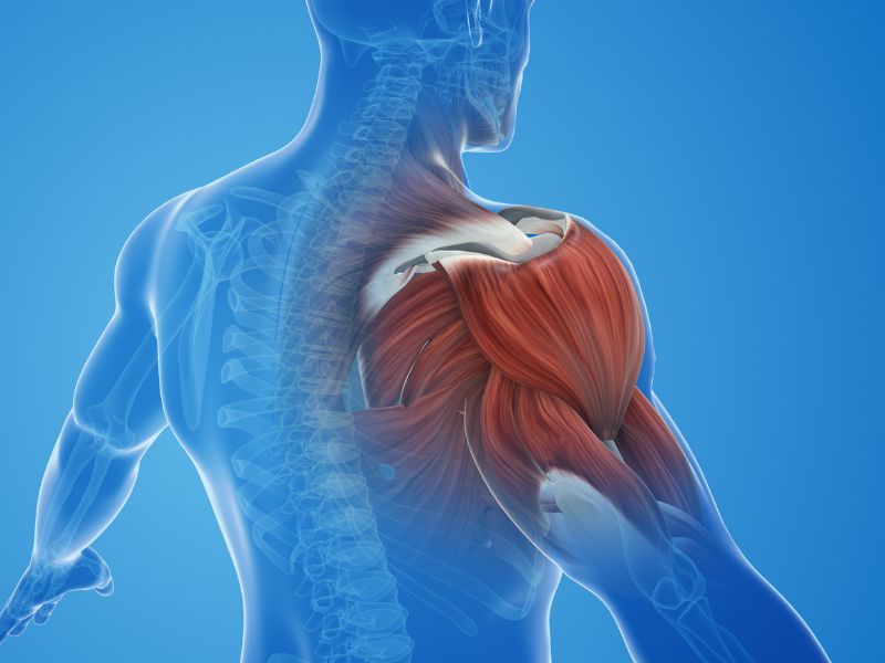 Dr. Pain's Muscle Strain